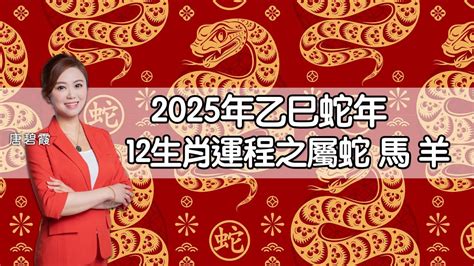 12生肖相沖|2025蛇年生肖運程蘇民峰｜屬狗者迎來巔峰之年，桃花事業雙豐